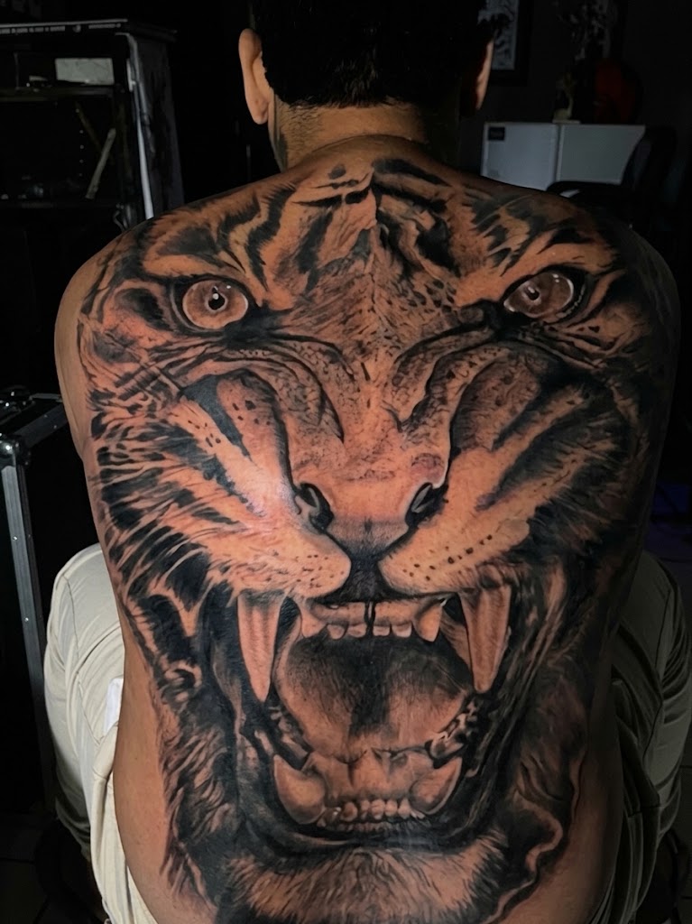 Costa fechada com tigre